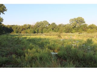 Tract 7 - Stillwater, OK farmland - EXCITING LAND AUCTION! - 128 +/- ACRES OFFERED IN 7 TRACTS OFF HIGHWAY 51 IN STILLWATER, OKLAHOMA